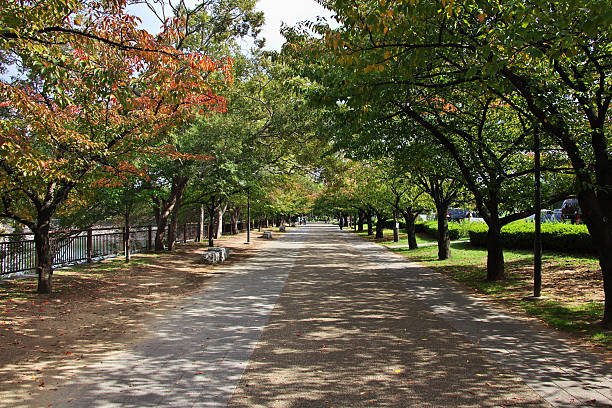 Himeji Castle Tour - Image 2